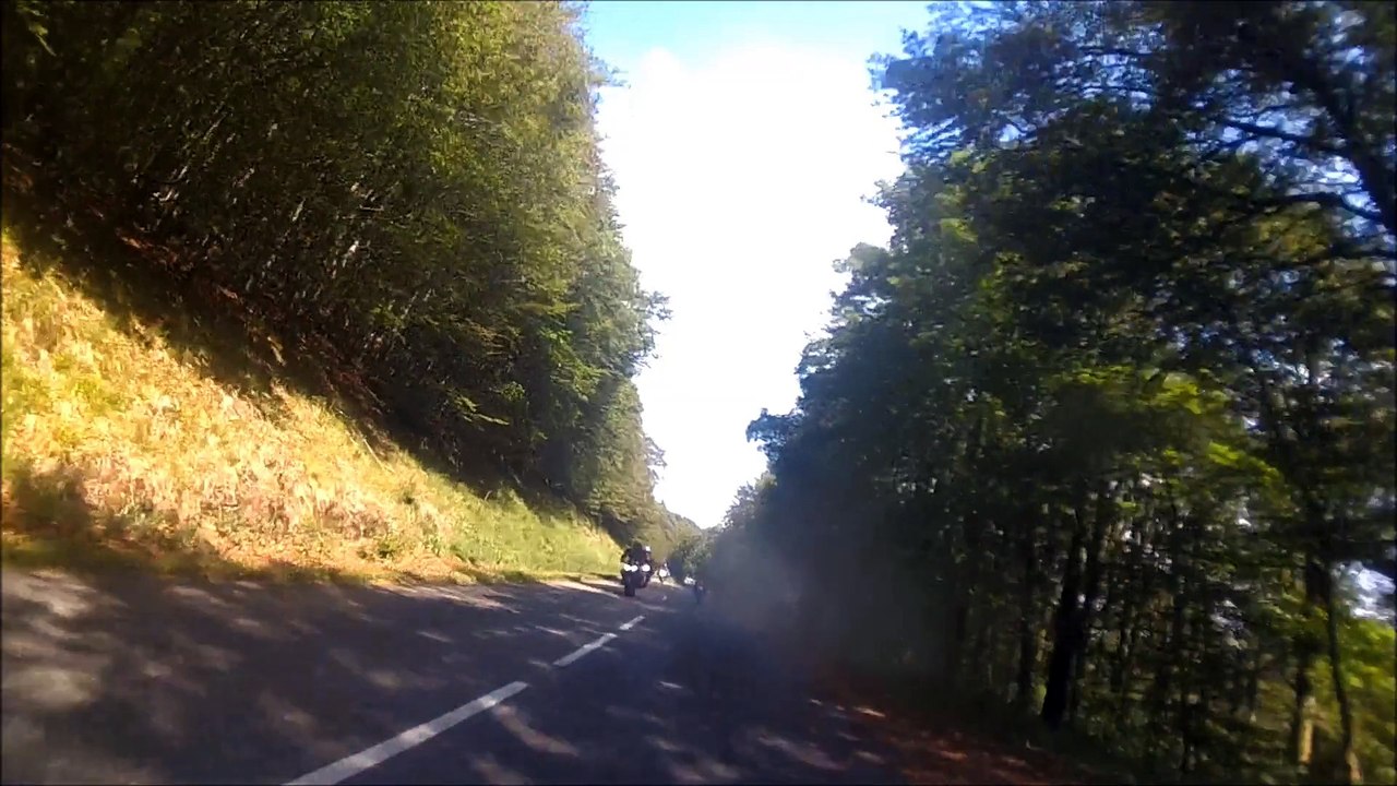 Vosges juin 2014