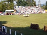 Concours de chiens de bergers. Aramits 2007.