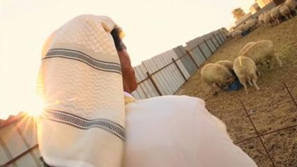 REPORTAGE - Les Bédouins, entre tradition et modernité - 16/12/13