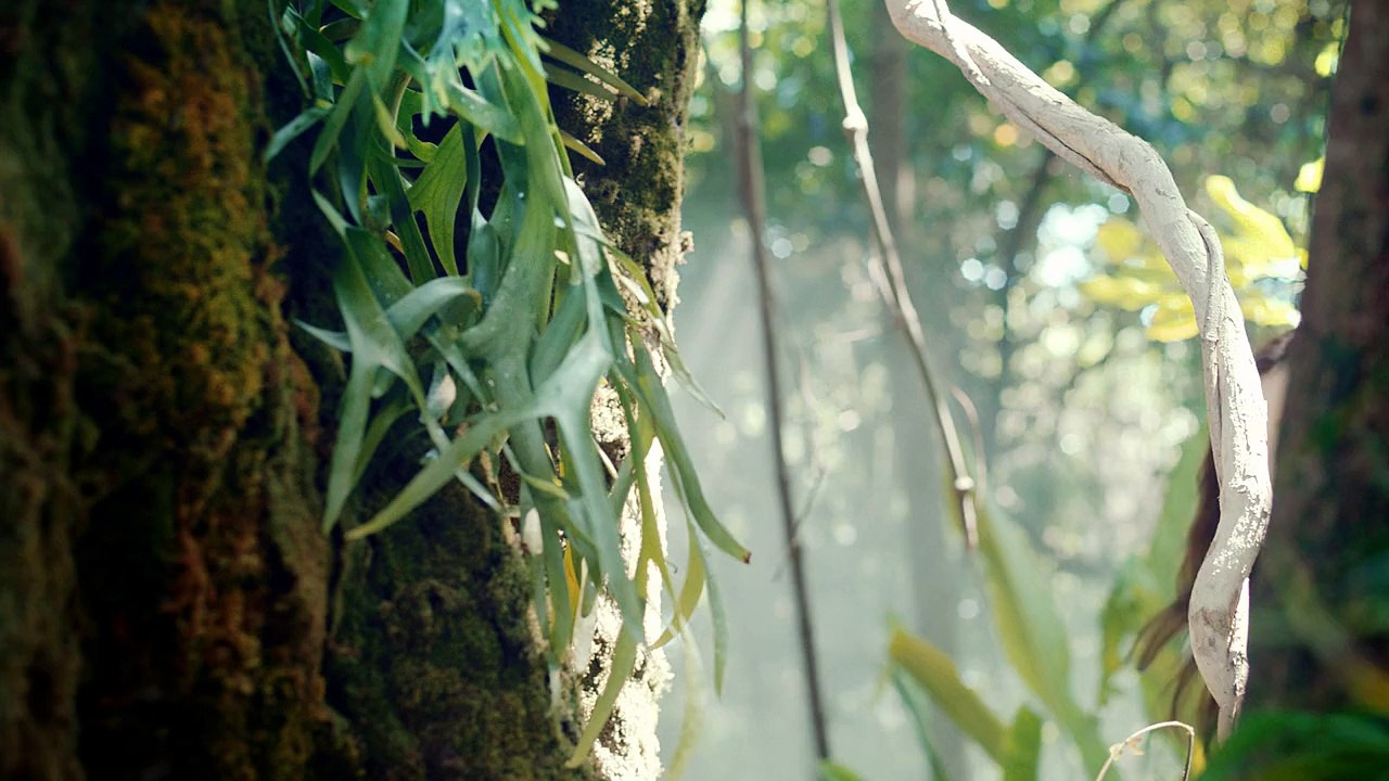 Nature Republic Super Aqua Max Moisture Cream CF 30s 130328