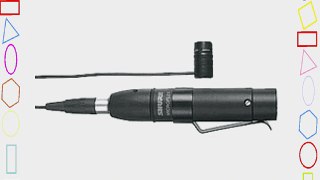 Shure MX184 Condenser Microphone - Super-Cardiod