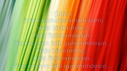 Ebru Gündeş - Unutabilsem - 2012 TÜRKÇE KARAOKE