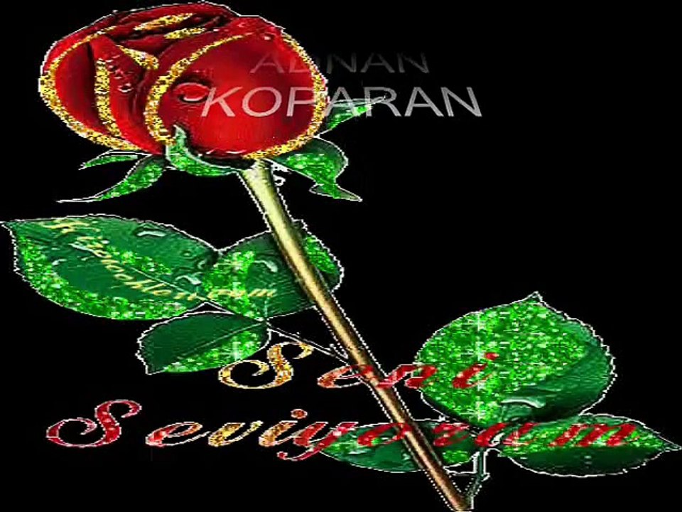 Adnan Koparan