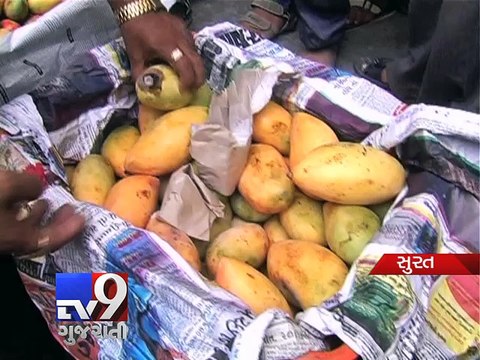 SMC destroys 800kg of artificially ripened mangoes - Tv9 Gujarati