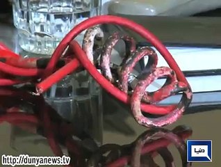 Dunya News - Couple arrested for brutally torturing 8-year-old girl in Lahore