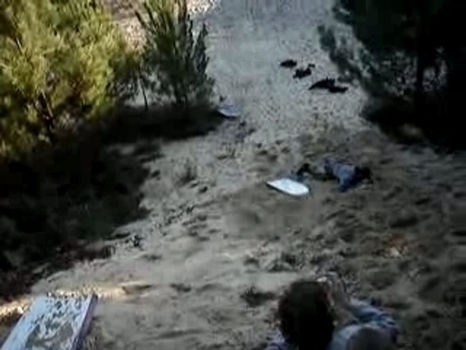 sandboard