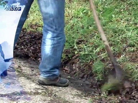 Vesti na vlaškom jeziku, 29. april 2015. (RTV Bor)