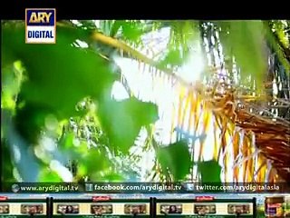 Mujhe Qabul Hai Episode 2 Full 28th April 2015