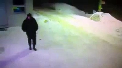 Adama Yol Soran Kedi Çok Tatli