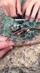 Trapped Snake Thanks It_#039;s Rescuers With A Surprise!
