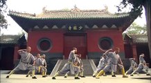 Chinese kung-fu「カンフー　絶技のすべて～驚異の中国武術～」