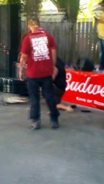 Un alligator attaque et mord un homme