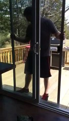 Homme vs Moustiquaire coulissante