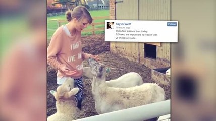 Taylor Swift Records a 'Baaaad' Confrontation With Sheep