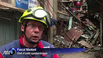 Népal: des chiens participent aux opérations de secours