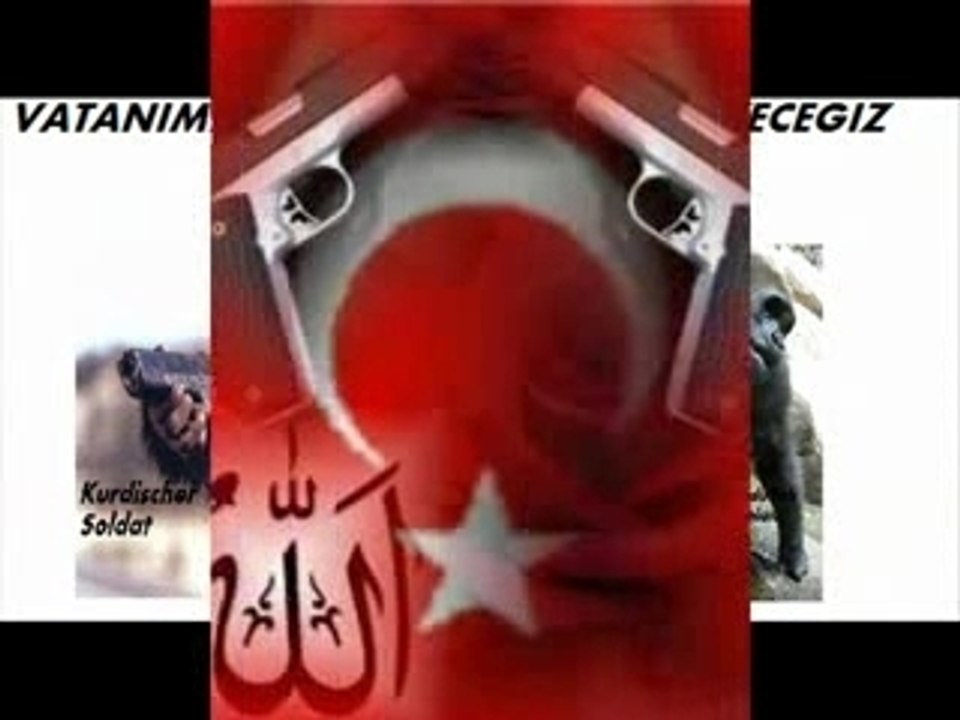 anti APO