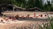 The Power of Teamwork - (Funny Animation.................................!!!!!!!!!!!!!!!!