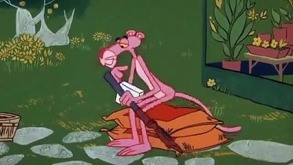 c027 the pink panther cartoon - pink posies