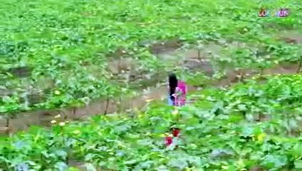 Tere layii dil sare sare raat jagay full song