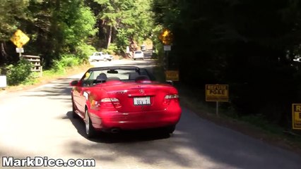 The Bohemian Grove Welcoming Committee