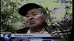 Deslave arrasó con cultivos de mandarina y caña en sectores de Tungurahua