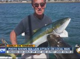 Photo shows sea lion attack on San Diego man