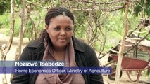 Revitalizing agriculture in Swaziland