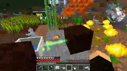 Live FTB infinity ep4 (REPLAY)