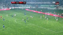 Bruno Alves 1:2 Amazing Goal | Bursaspor - Fenerbahce 28.04.2015 HD