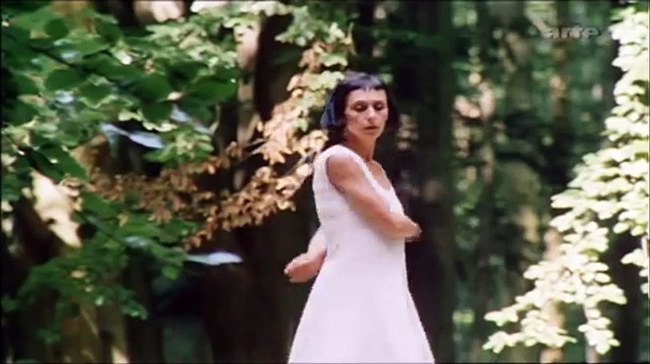 Steve Reich - Violin Fase - Violin Phase (HQ)