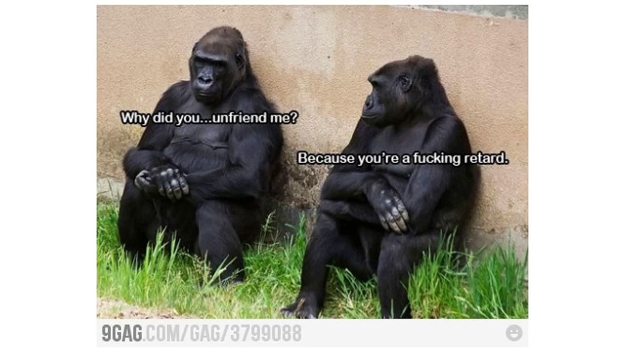 stupid funny pictures