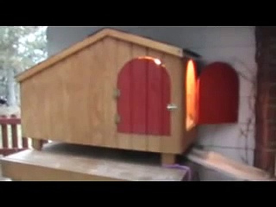 Cat House