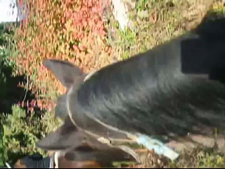 sea to sky stables