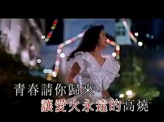 袁鳳瑛 - 天若有情(刘德华MV版VCD)[勇哥DIY，原版伴奏]