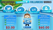 Buy Twitter Followers - Cheap REAL Twitter Followers - ORDER NOW!!