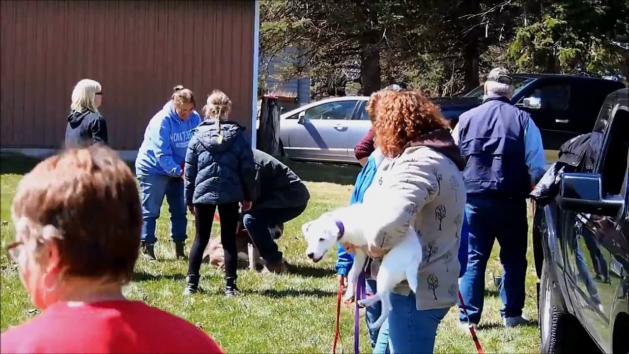 JRRanch Fun Day spring 2015