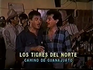 Los Tigres Del Norte - Caminos De Guanajuato