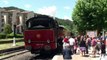 Le train à vapeur des Cévennes  (Saint-Jean-du-Gard/Anduze - Gard - France)
