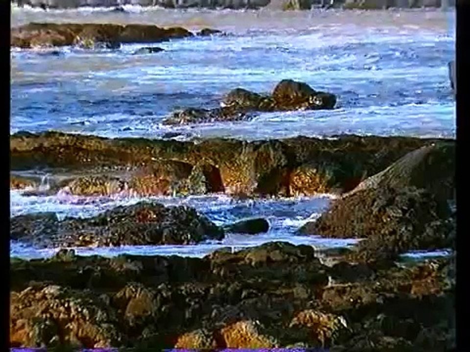 The North Coast of Ireland on DVD