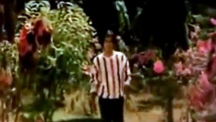 Dil Mein Ho Tum AankhoN MeiN Tum_S. Janaki_Bappi Lahiri -.flv - full HD