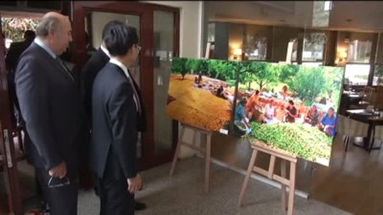 İpek Yolu'nda "Bir Kuşak Bir Yol" Projesi - Hongyang