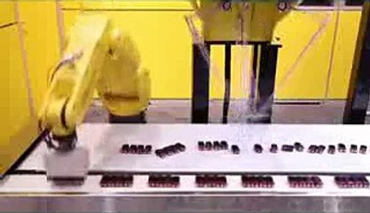 YÜKSEK HIZDA SIRALAMA YAPAN ROBOT TEKNOLOJİSİ