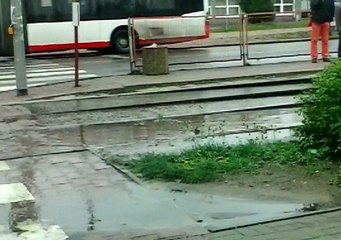"Politechnika" po burzy // Częstochowa // 28.04.2015