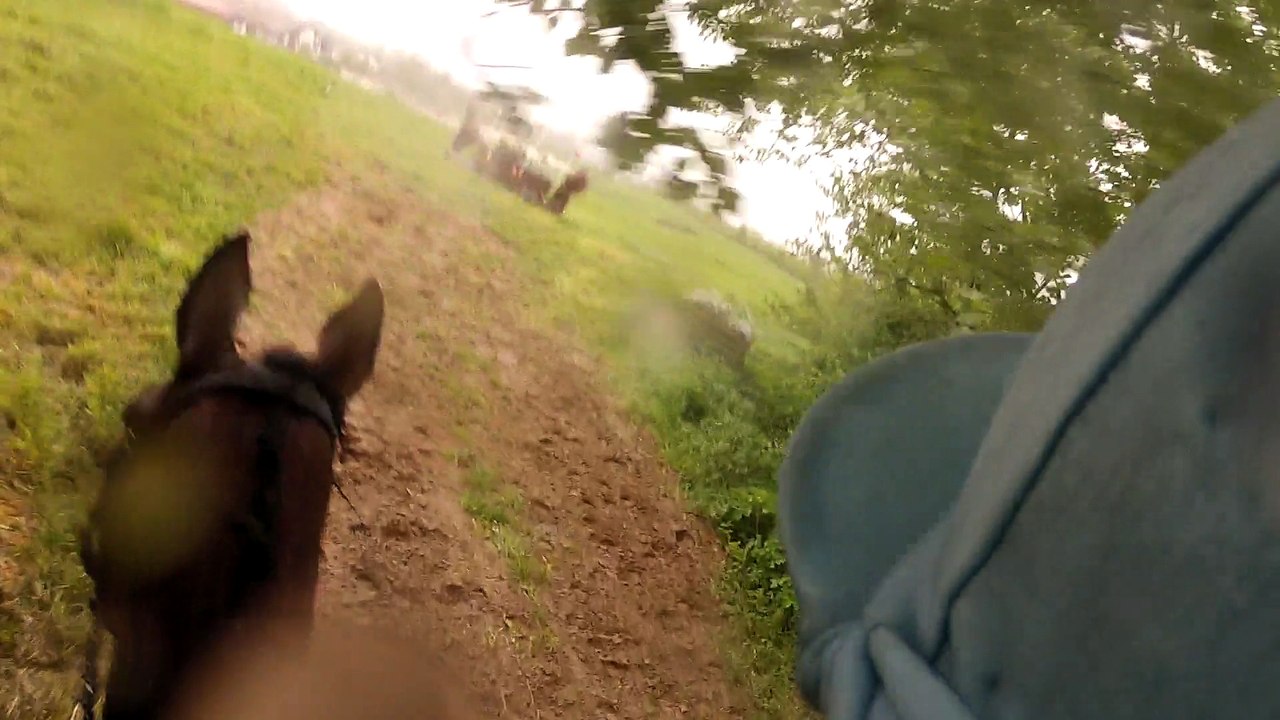 15-04-26 - CCE Am2 à Ozoir-la-Ferrière - CROOOOOOOOOOOOSS !!