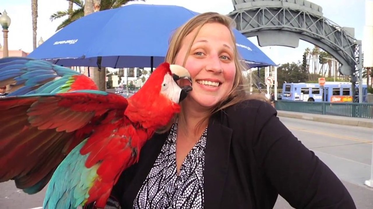 Keys to Happiness - Self Help Insights