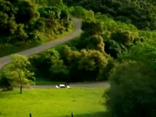 Surtout Ne regarder pas cette video