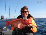 ANGELN IN NORWEGEN - HITRA , WO ANGLERTRÄUME WAHR WERDEN - Fishing Norge Norway