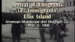 irish immigrants arrving ellis island