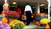 President Obama Obama goes pumpkin shopping