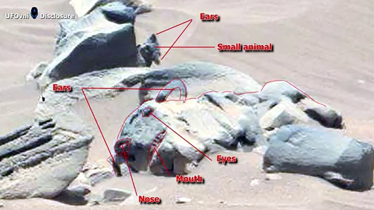 Ancient Aliens On Mars Curiosity Spotted Carved Animal Statue and Strange Artifacts
